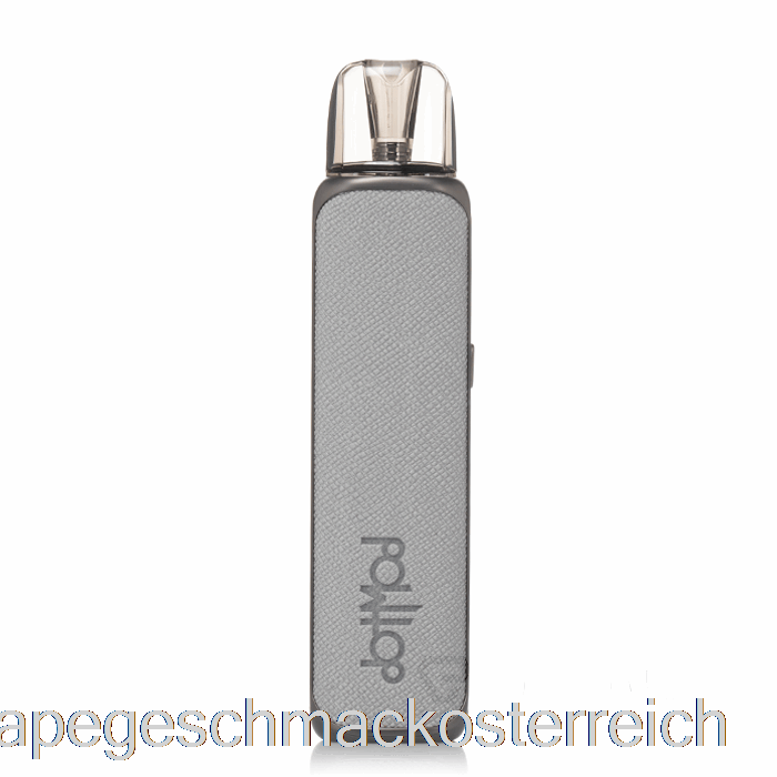 Dotmod Dotpod S Pod System Grau Vape Geschmack